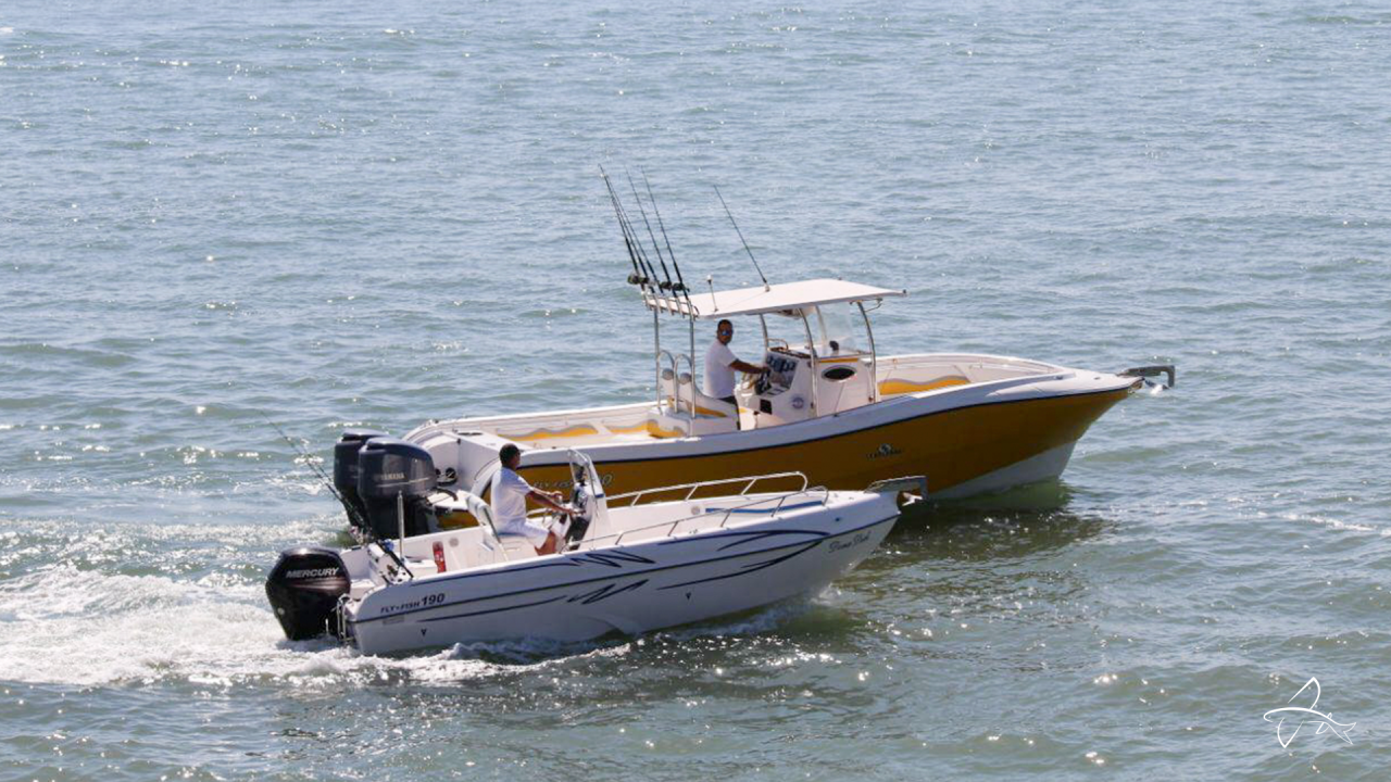 Fly Fish 190 vs Fly Fish 290: Qual Lancha é Ideal para Sua Aventura no Mar?