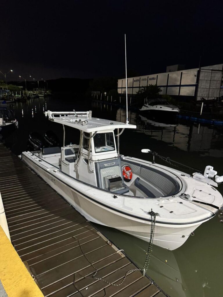 Fly Fish 260