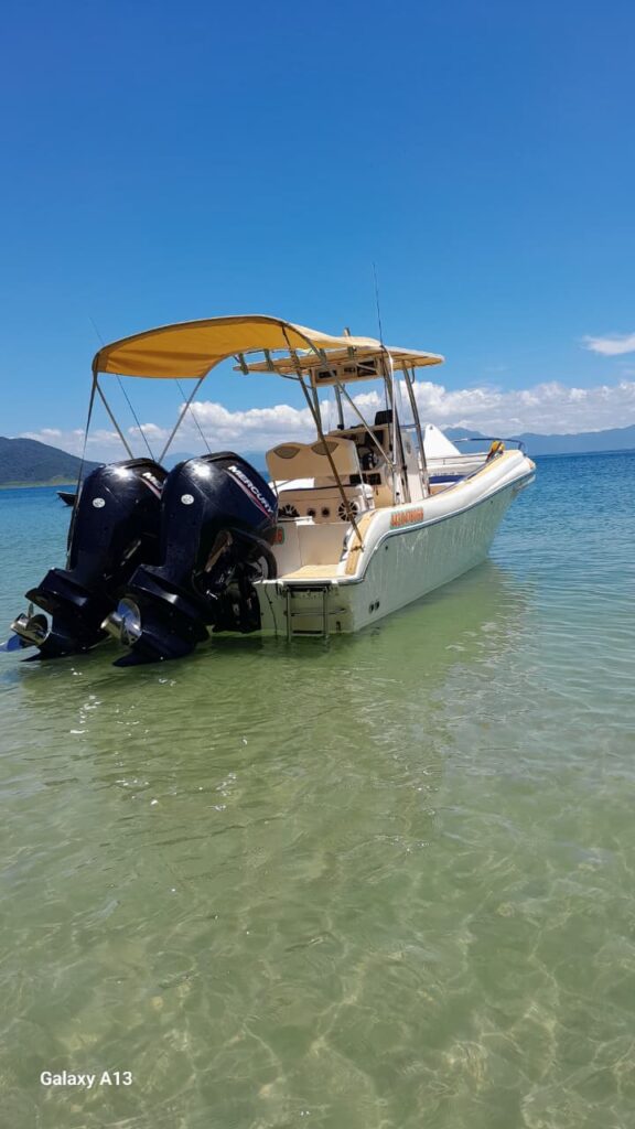 FLY FISH 230