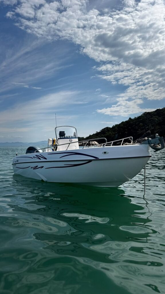 FLY FISH 190